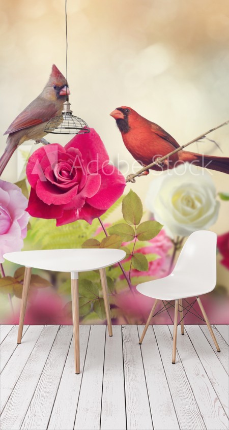 Εικόνα της Male and Female Northern Cardinals